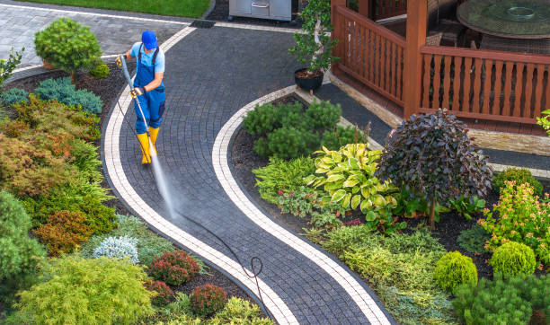 Best Roof Pressure Washing  in Prestbury, IL